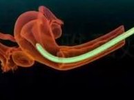 浙江杭州三代试管价格一样吗？详细解析！