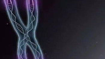 高龄一定要做三代试管婴儿吗？需要注意什么？