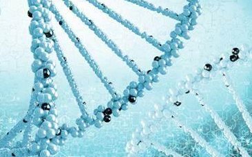 为什么试管成功怀孕三个月后宝宝就没那么容易胎停了？