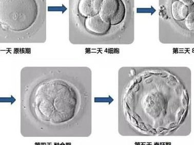 女性检查出嵌合型染色体想要孩子可以做三代试管婴儿吗？