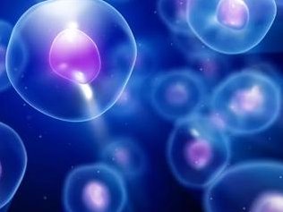 2026南京做试管的私立医院排行，附南京三代试管费用及成功率